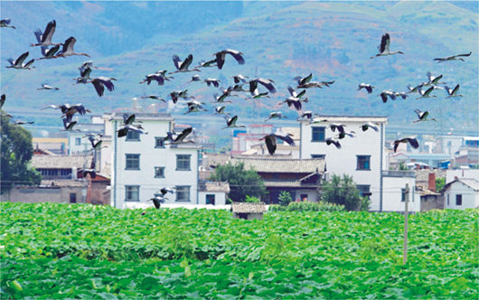 強(qiáng)化招商引資 推進(jìn)園區(qū)建設(shè)——訪市黨代表、工業(yè)園區(qū)主任李俊龍
