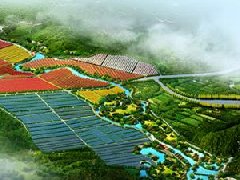 鄭州市工信局：積極構(gòu)建管城區(qū)、經(jīng)開區(qū)、中牟縣“兩區(qū)一縣”氫燃料電池汽車