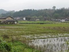 安徽太湖經開區(qū)：高標準高質量推進特色小鎮(zhèn)建設