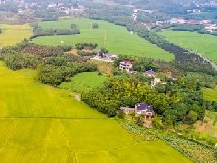 智慧園區(qū)規(guī)劃 | 產(chǎn)業(yè)園區(qū)該如何應(yīng)對突發(fā)公共事件？