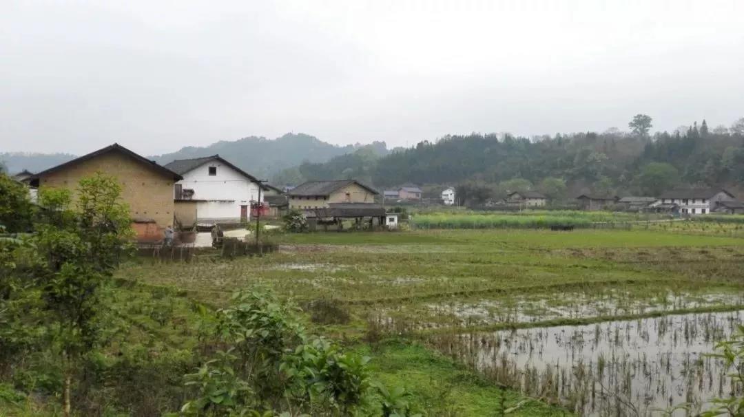 農村土地確權結束，沒登記的四荒地如何處理？