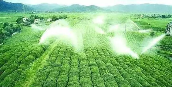 重磅！2019中央一號(hào)文件即將發(fā)布！大農(nóng)業(yè)領(lǐng)域迎來(lái)新機(jī)遇