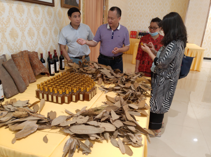 龔州大地，龍眼飄香-平南現(xiàn)代農(nóng)業(yè)正釋放科技創(chuàng)新活力