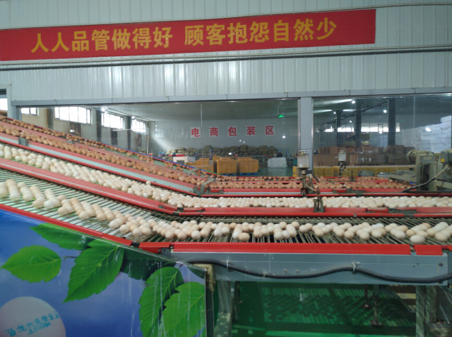 后稷故里，板棗之鄉(xiāng)——山西省稷山縣大力爭創(chuàng)國家現(xiàn)代農(nóng)業(yè)產(chǎn)業(yè)園