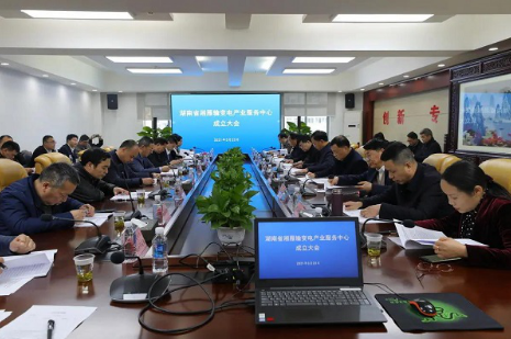 湘雁輸變電產(chǎn)業(yè)服務中心在長沙成立，湖南輸變電產(chǎn)業(yè)開啟發(fā)展新篇章