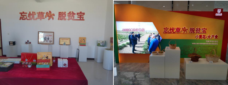 打造農(nóng)業(yè)綠色發(fā)展典范，云州區(qū)創(chuàng)建國家農(nóng)業(yè)綠色發(fā)展先行區(qū)勢在必行